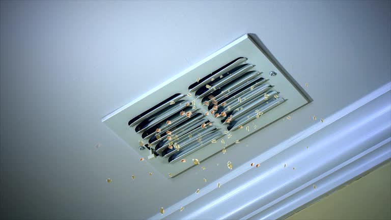 Best Home Air Vent Cleaning  in Mariposa, CA
